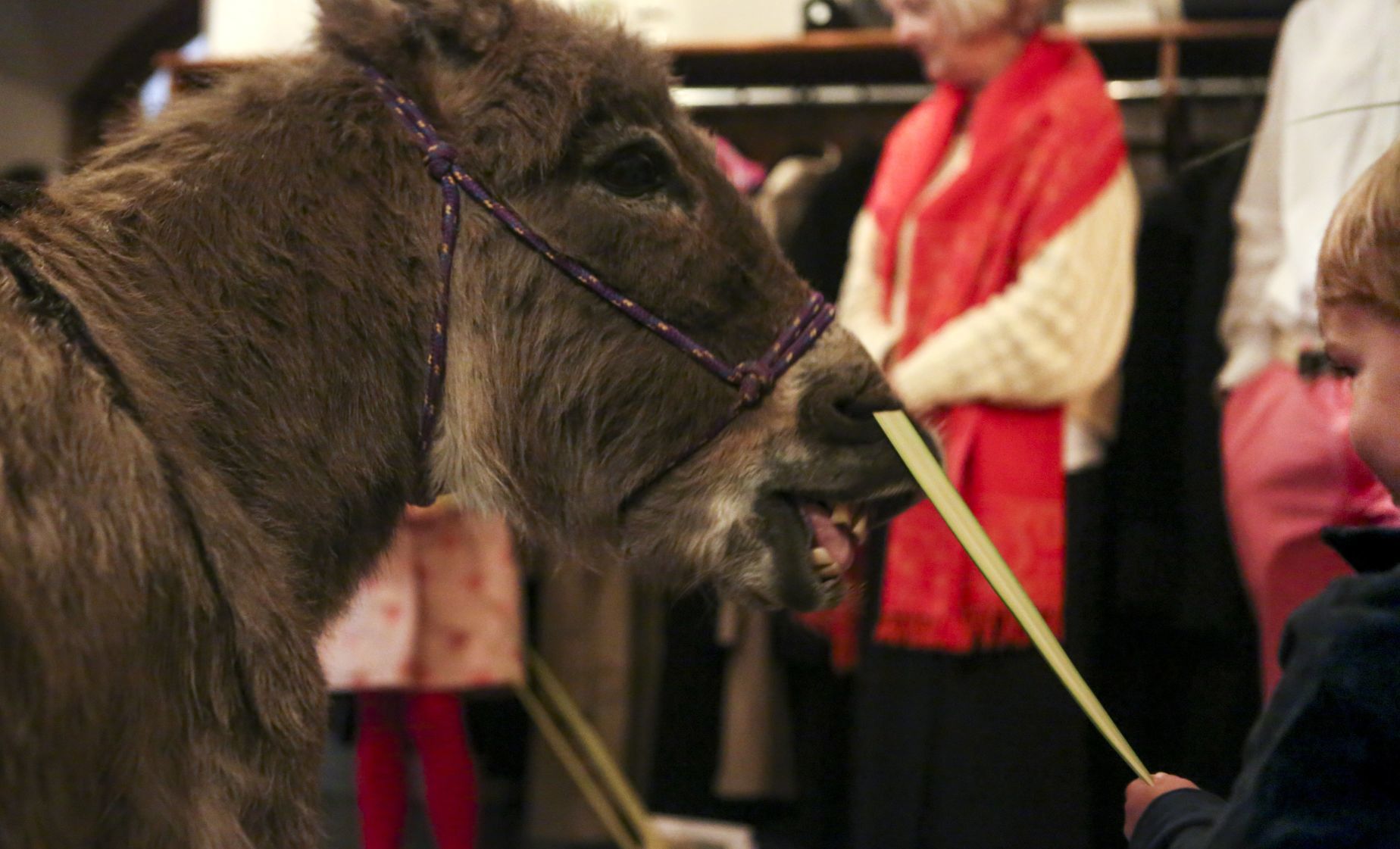 Palm Sunday at The Church of St. Michael and St. George